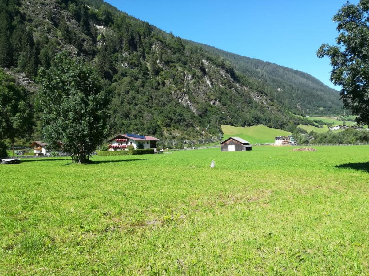 Schlatterhof Apartment Neustift im Stubaital Luaran gambar